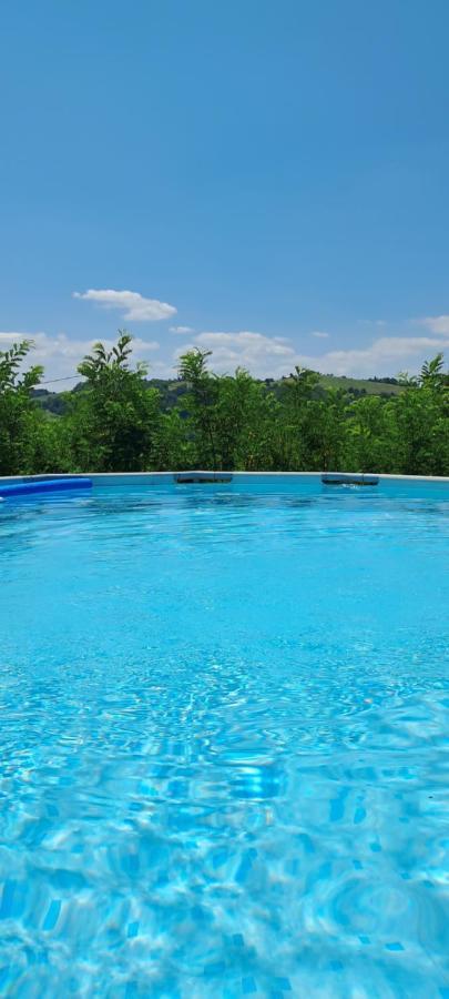 Bed and Breakfast Terrazzaponente Monte San Pietro Екстер'єр фото